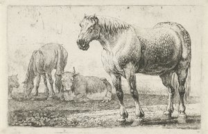 Horses and Cows (Animals) (Zoographiam)