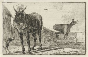 Two Donkeys by Jan van den Hecke