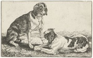 Two Resting Dogs