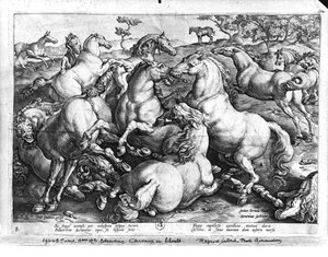Horses in the Wild