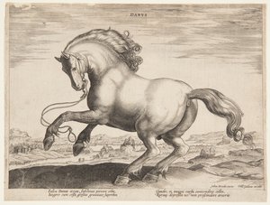 A Danish Horse, from the fourth set of 