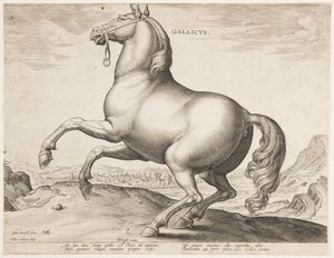 A French Horse, from the first set of 