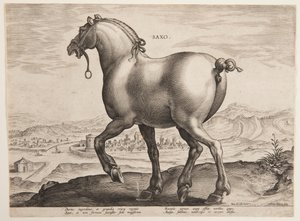 A Saxon Horse, from the First Set of 