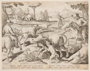 Buffalo Hunt, plate 27 in the Venationes Ferarum, Avium, Piscium series by Jan van der Straet, called Stradanus