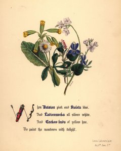 Daisies, Violets, Ladiesmocks and Cuckoo-buds by Jane Elizabeth Giraud