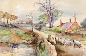 A Country Road