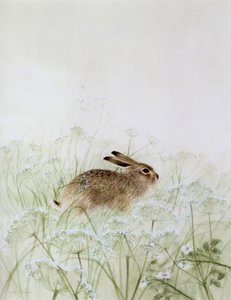 Rabbit by Jane Neville