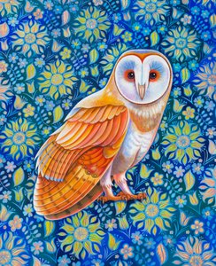 Barn owl