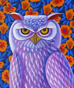 Snowy Owl, 2013