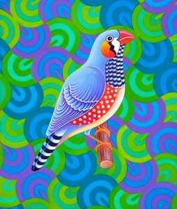 Zebra Finch, 2023 by Jane Tattersfield