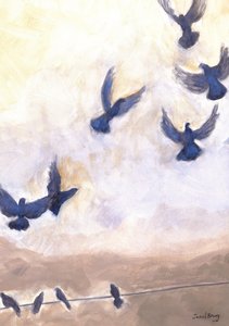 Pigeons in Flight in Anacortes, 2024