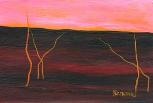 Fiery Desert Horizon by Janine Brewster