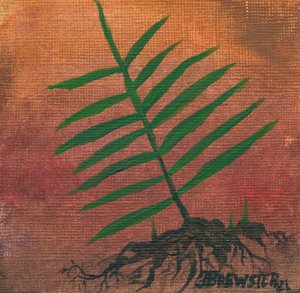 Green Fern Roots by Janine Brewster