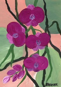 Magenta Orchid Blooms by Janine Brewster