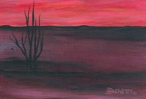 Pink Desert Twilight by Janine Brewster