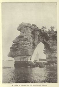 A Freak of Nature in the Matsushima Islands