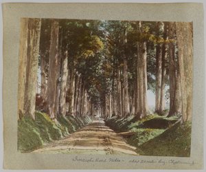 Imaichi Road, Nikko, Japan by Japanese Photographer