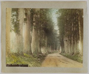 Imaichi Road, Nikko, Japan by Japanese Photographer