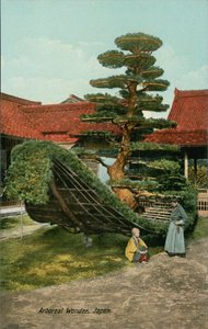 Ornamental tree shaped as a boat in Japan