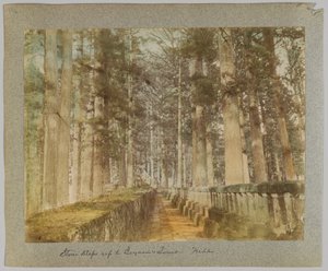 Stone steps up to Ieyasu