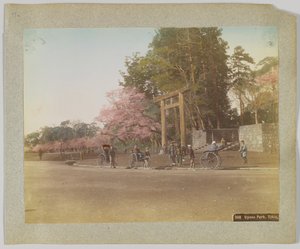 Uyeno Park, Tokyo, Japan by Japanese Photographer