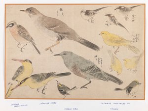 Birds in Okyo Style by Japanese School