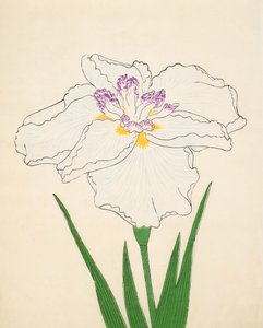 Cho-Hiyen, No. 91, 1890 by Japanese School