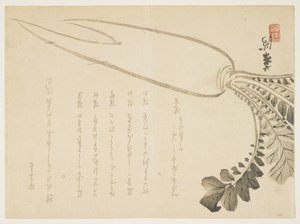 Daikon Radish, January 1864 by Japanese School