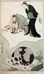 Dreaming Cat - Japan