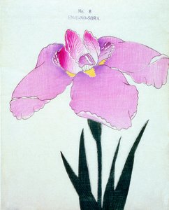 En-U-no-Sora, no.8, 1898