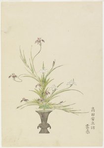 Flower Arrangement by Takada Anritsubo Untai, Irises
