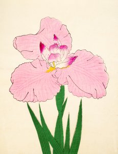 Gaisen, No. 90, 1890