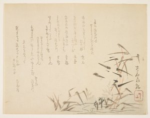 Herons and Reeds