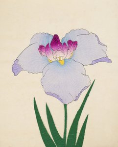 Hoshi-Zukiyo, no.45, 1898