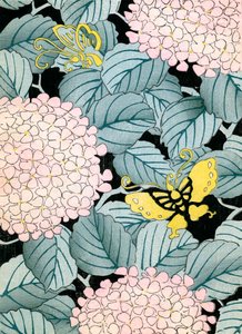 Hydrangeas and Butterflies