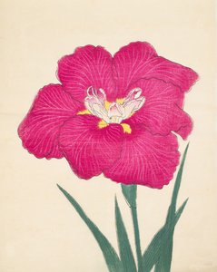 Kagari-Bi, No. 38, 1890