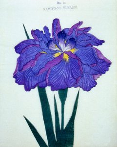 Kamiyo-no-Mukashi, no.16, 1898