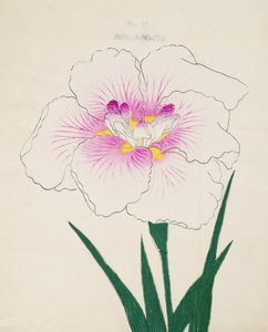 Misuji-no-Ito, no.17, 1898 by Japanese School