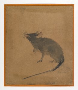 Mouse