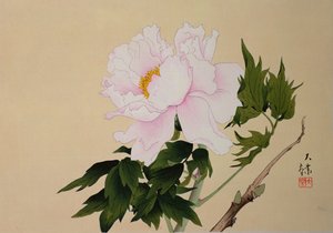 Peony, pub. 1950 by Japanese School