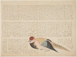 Pheasant, c.1818-29 by Japanese School