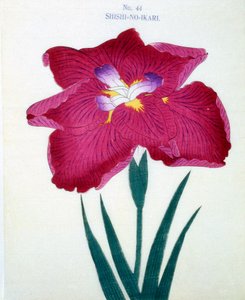 Shishi-no-Ikari, no.44, 1898 by Japanese School