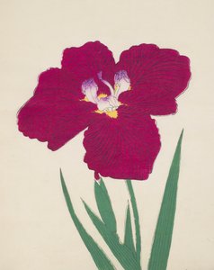 Tai-Hei-Raku, No. 18 by Japanese School