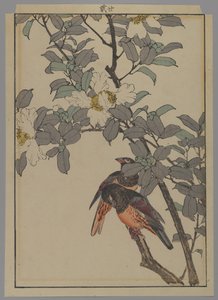 Two Birds with White Flowers, Meiji Period, 1892 by Japanese School