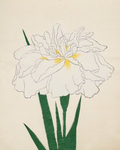 Ujaku-No-Nagisa, No. 61 by Japanese School