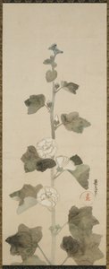 White hollyhocks, Edo period by Japanese School