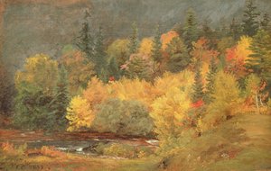 Autumn by the Brook