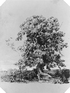 Landscape with Tree and a Village in the Distance (from Cropsey Album) by Jasper Francis Cropsey