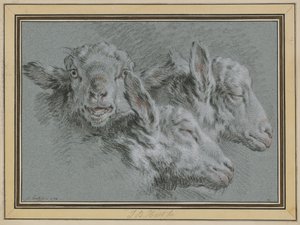 Three Sheep Heads, Awake and Sleeping by Jean-Baptiste Huet