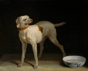 Dog by Jean Baptiste Oudry